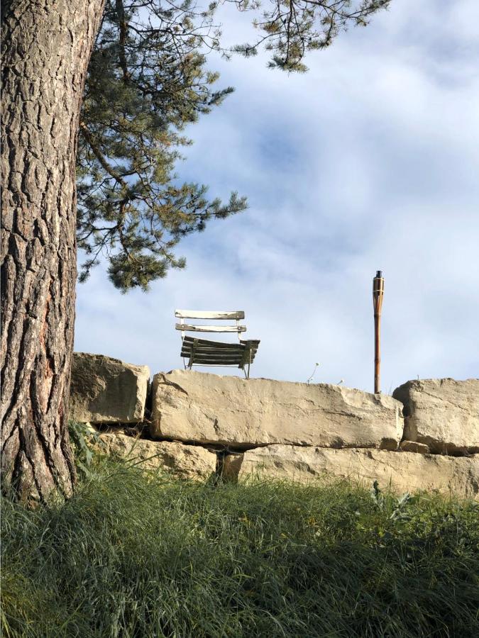 Villa S'Scheunle - Dein Ferienhaeusle Im Donautal à Beuron Extérieur photo